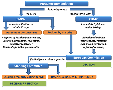 Decision-making process at the European level